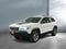 2019 Jeep Cherokee Trailhawk 4x4